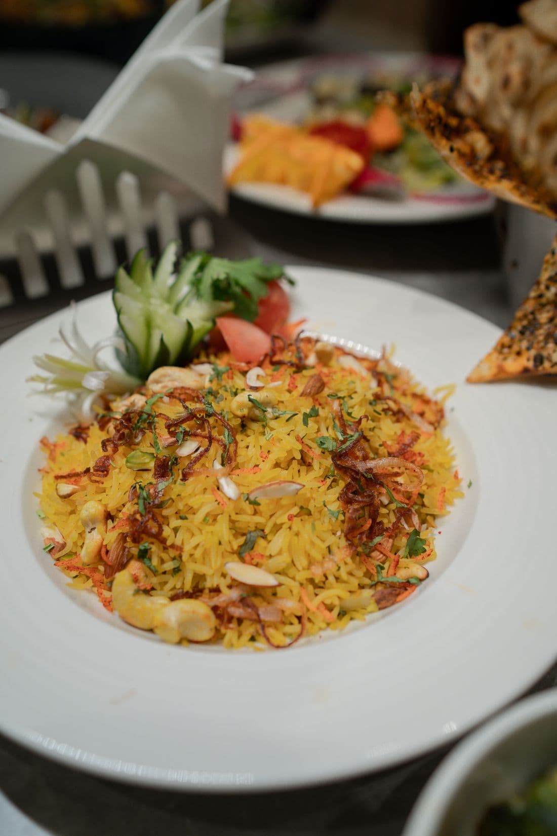 Representative stock photo for Veg Biryani